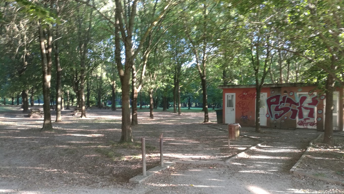 Bosco di Pianura